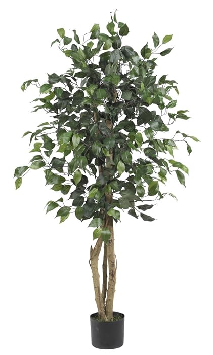 The Best Silk Trees For Home Decor 4 Feet