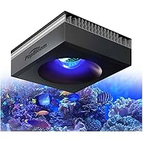 Lighting for Reef Aquariums: Ultimate Guide to Vibrant Coral Growth