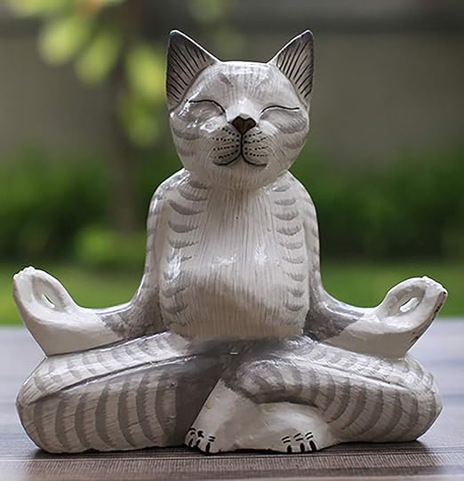 meditating cat