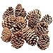 Bulk Package of Natural Pinecones-1/2 Pound