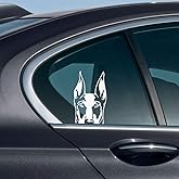 WIRESTER 6 inch Clear Vinyl Decal Sticker Decoration for Car Window (Or Any Flat Surface) - Doberman Pinscher Dog