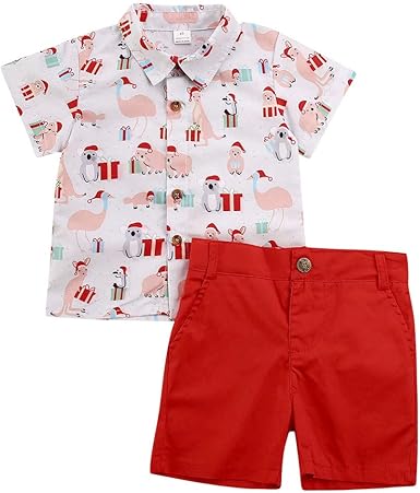 baby boy flamingo outfit
