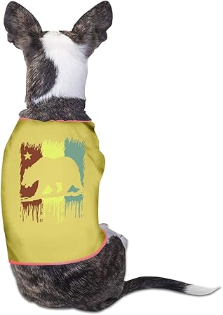 all pet supplies republic rd