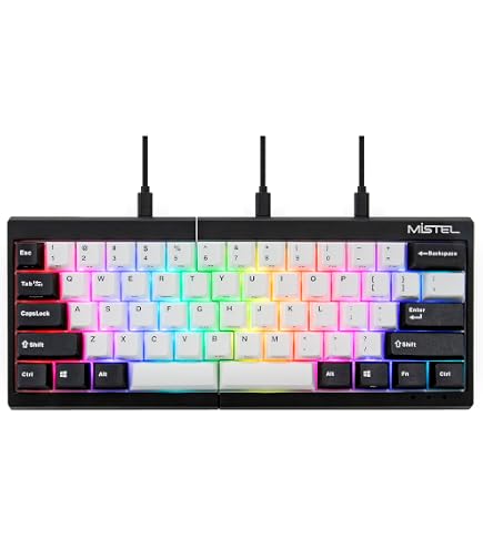 Amazon.com: BAROCCOMiSTEL MD770 Classic Black/WF, TKL Ergonomic