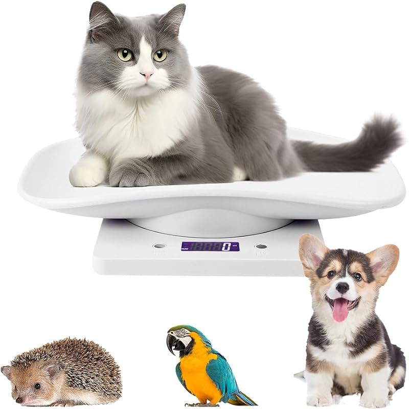 Mchodare Digital Pet Scale 10kg/1g LCD Display for Cats & Dogs