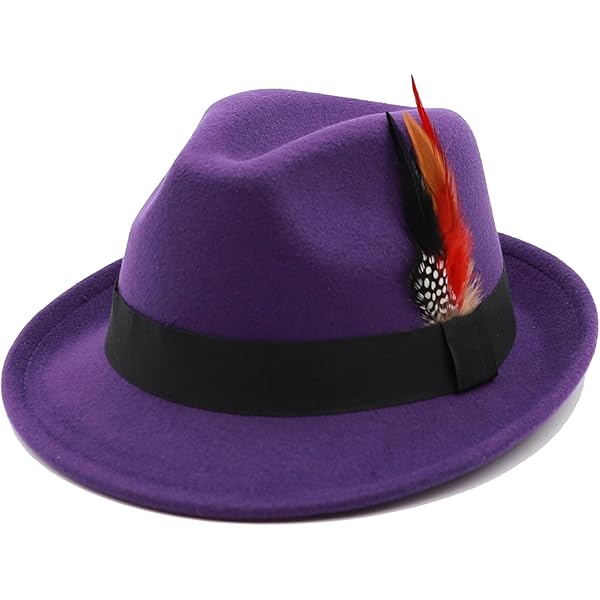 Purple Wool Felt Fedora Hat with Feather Trim Size Medium Large at Amazon  Women's Clothing store