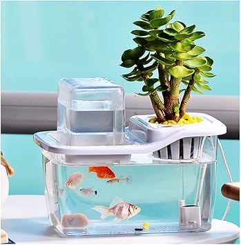 訳あり 循環ポンプ 自吸式マグネットポンプ 三相電機 海水循環 化学液循環 冷却循環 生簀 植物 水耕栽培などに 小型 ろ過器 水槽 水槽ポンプ ケミカル海水用 Pmds 643b2p フィルター ポンプ ろ材 Oyostate Gov Ng