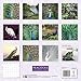 Peacocks Wall Calendar 2020 (Art Calendar)