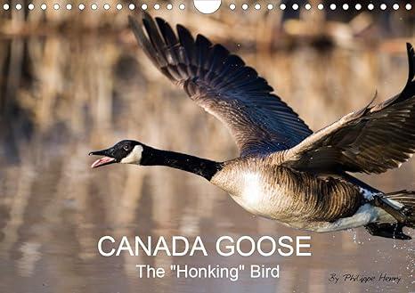 canada goose amazon uk