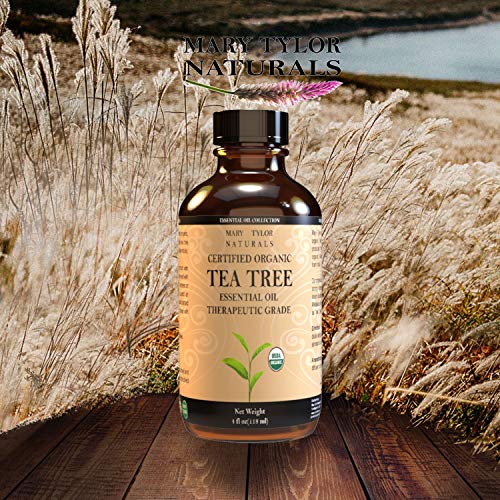 Organic Tea Tree Essential Oil (4 oz), USDA Certified, 100% Pure Essential Oil, Therapeutic Grade, Melaleuca alternifolia by Mary Tylor Naturals