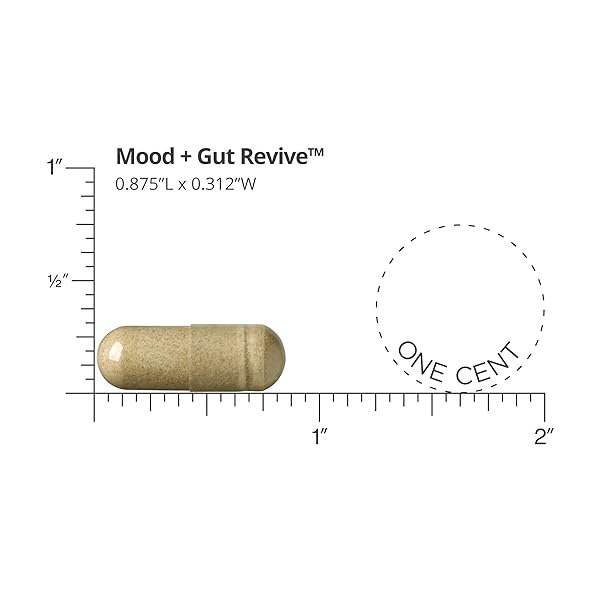 DR. DREW SINATRA’S LIFEBIOME MOOD + GUT REVIVE MOOD MULTI REPLENISHES NUTRIENTS, BOOSTS MOOD WITH ASHWAGANDHA, IMPROVES SLEEP QUALITY IMPACTED BY STRESS