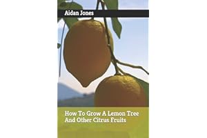 How To Grow A Lemon Tree And Other Citrus Fruits