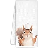 KRHFG Squirrel Bathroom Hand Towels Decor, Squirrel Lovers Gifts Decorative Hand Towels for Kids Bathroom, Funny Kitchen Towels, 16x24 Inch