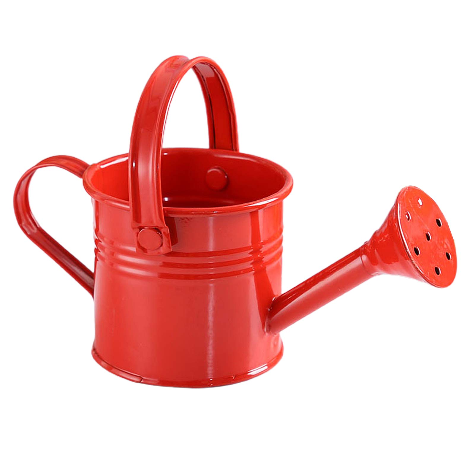 TREA2SURE Iron Watering Can, 350Ml Mini Watering Pot with Sprinkler Head Plant Watering Can with Handle Gardening Iron Water Pot Garden Irrigation Spray Bottle with O Ring Nozzle for Kids Garden
