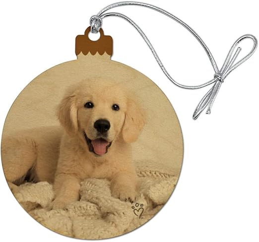 Amazon Com Graphics More Golden Retriever Puppy Dog And Blanket