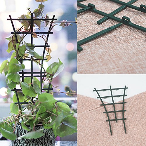 Olpchee 10Pcs Plastic Mini DIY Flower Support Garden Trellis Superimposed Plant Winding Climbing Supports Dark Green