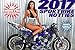 2017 16 MONTH SPORTBIKE HOTTIES CALENDAR SEP 2015 - DEC 2017 street road gsxr yamaha suzuki model pin up poster