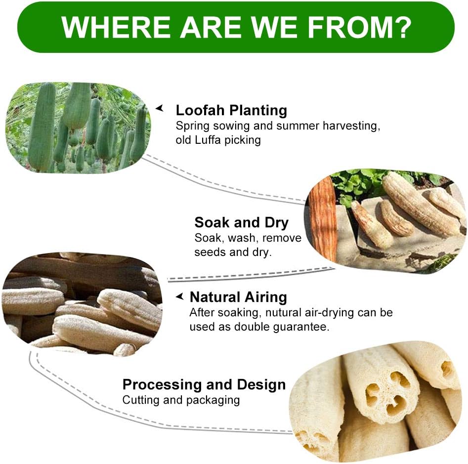 6 Pcs Natural Loofah - Image 4
