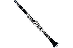 Deloitte Bb Clarinet, ABS, Nickel Plated, DCL-225, Professional Clarinet for Beginner, with Hand Case Bag and Cleaning Kit