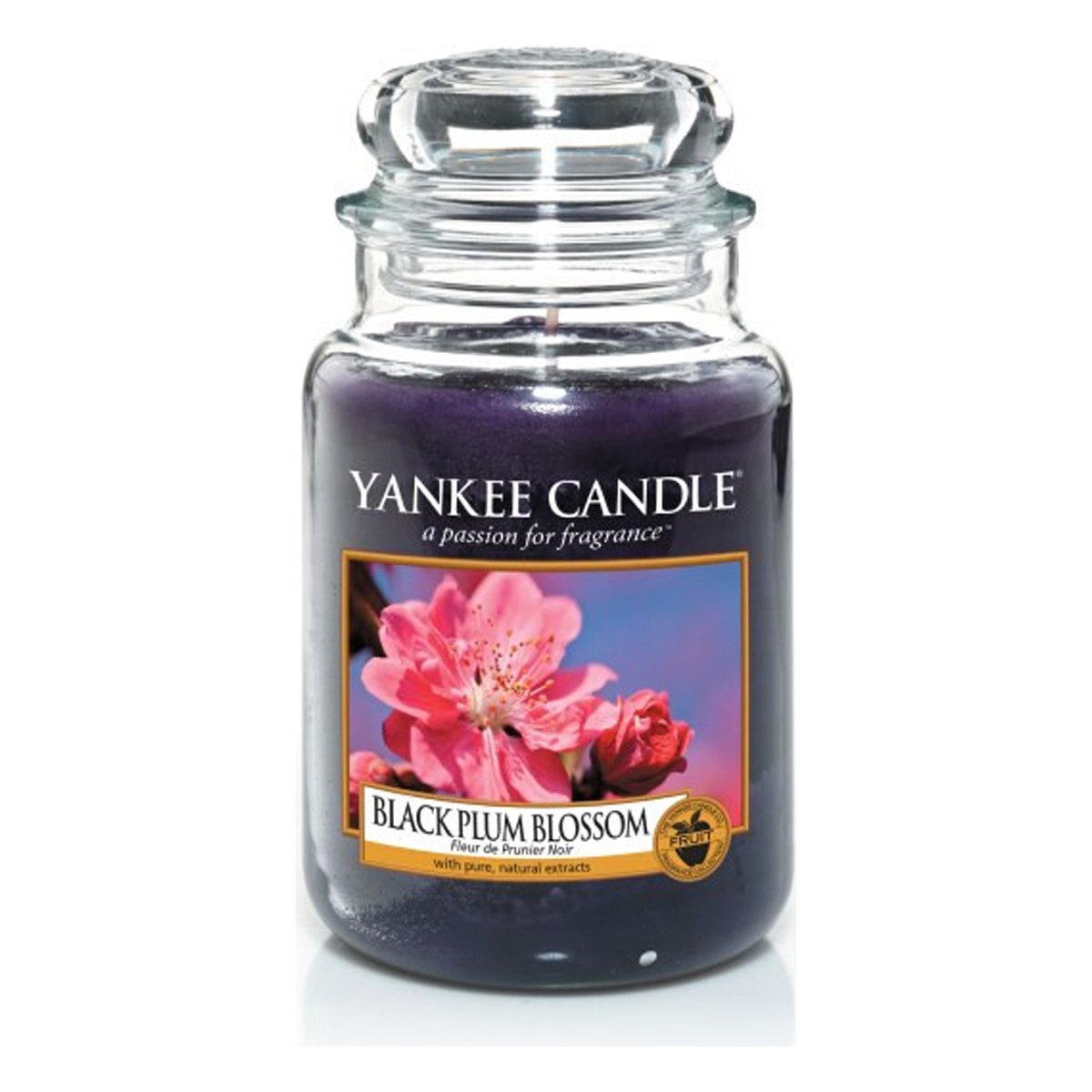 Yankee Candle Large Jar Candle, Black Plum Blossom Amazon.co.uk