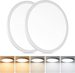 Brightever LED Flush Mount Ceiling Light, 24W