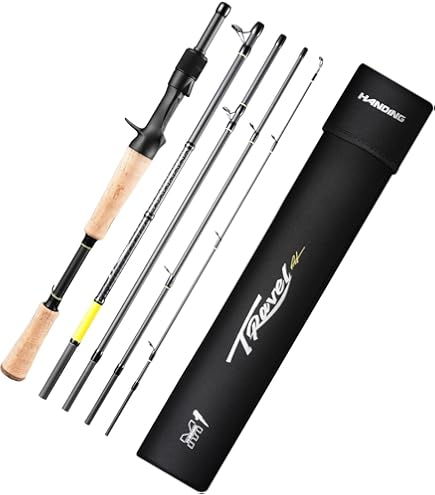 Amazon.com : SEASIR Salminus Travel Fishing Rod, 4 Piece Spinning
