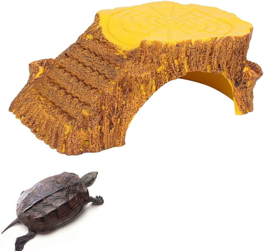 10 Mejores Cuevas Para Tortugas De Agua | (2020)