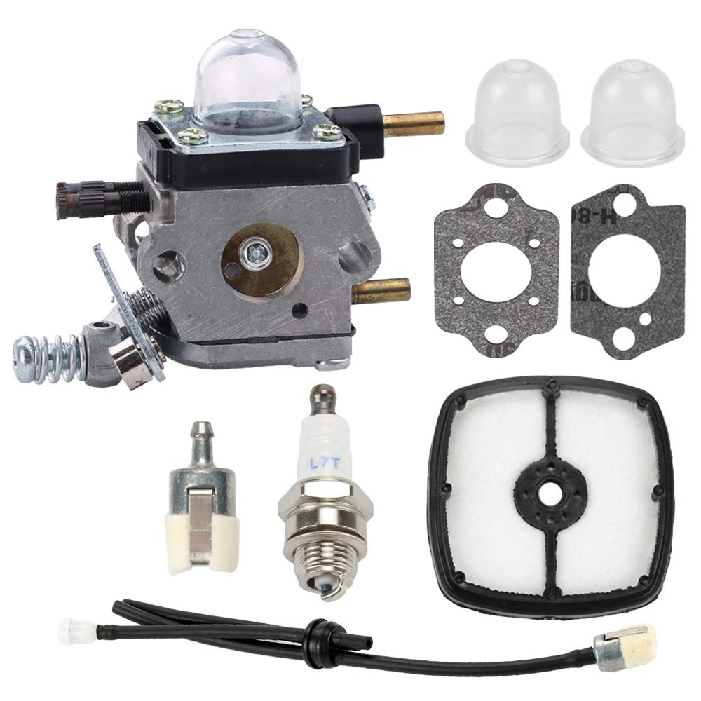 Echo 302s carburetor