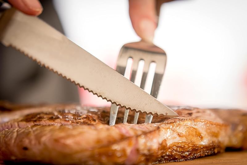 Ice Force - Set de 4 Cuchillos de carne, Acero inoxidable