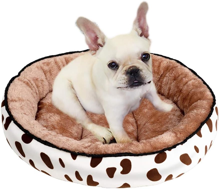 materassi per l'Artico