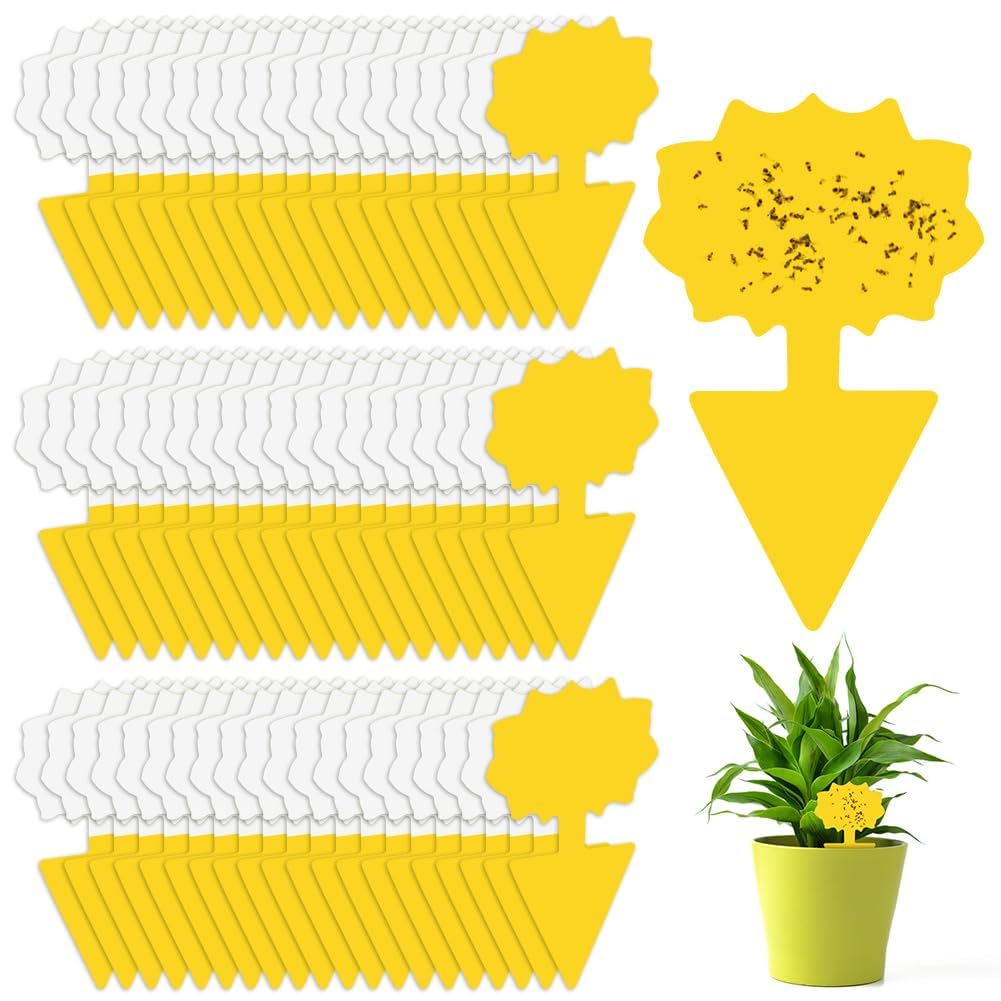 Flintronic Fruit Fly Traps,66 Pack Yellow Double-sided Fungus Gnat Sticky Catcher, Double-Sided Fly Catchers, for Protect Plants and Control Multiple Insects