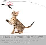 Cobee Cat Wand Toys Interactive Feather Propeller Wand 90cm with 2 Refills view 2