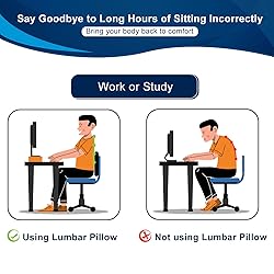 QUTOOL Lumbar Support Pillow for Office