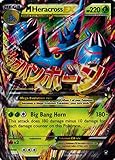Pokemon M Heracross Ex Furious Fists 5/111