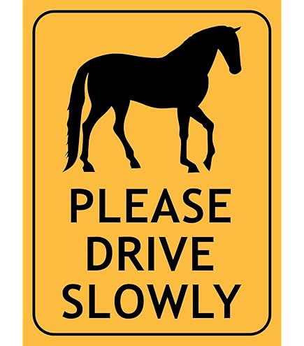 Panneau En étal « Please Drive Slow - Dogs At Play Drive Slow » - 20,3