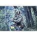 EAmber Archery Shooting Gloves,Three Finger Durable Cow Leather Protective Archery Gloves for Recurve Bows Hunting Finger (M 8cm) (M 8cm)