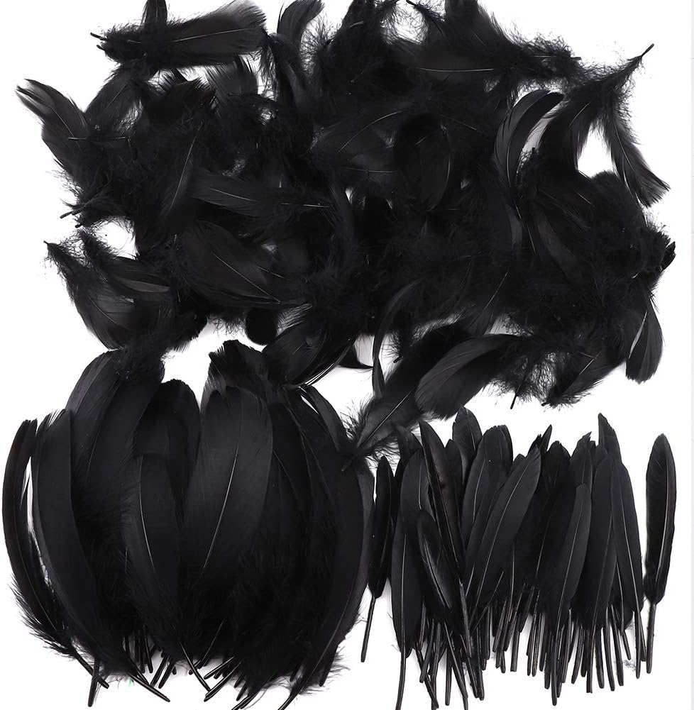 Feather for Crafts,250 Pcs Coloured Feather Striking Feathers for DIY