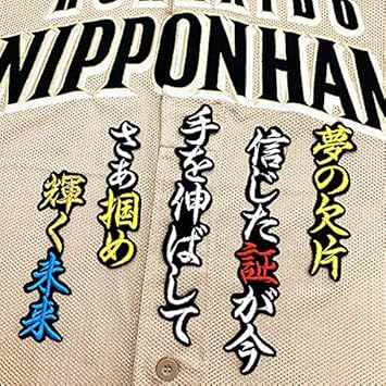 Amazon 日本ハム ファイターズ 刺しゅう ワッペン 渡邉 応援歌 Bk 渡邉諒 ノーブランド品 スポーツ アウトドア