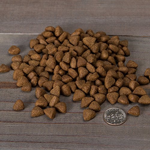 Nulo Limited Ingredient Small Breed Dry Dog Food Single Protein Grain