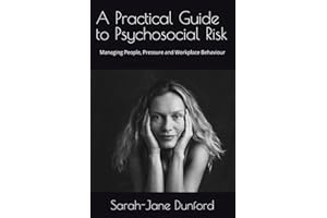 A Practical Guide to Psychosocial Risk: Managing People, Pressure and Workplace Behaviour