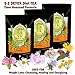 Detox Tea for Weight Loss and Belly Fat - Appetite Control - Body Cleanse – Detox 3 Pack