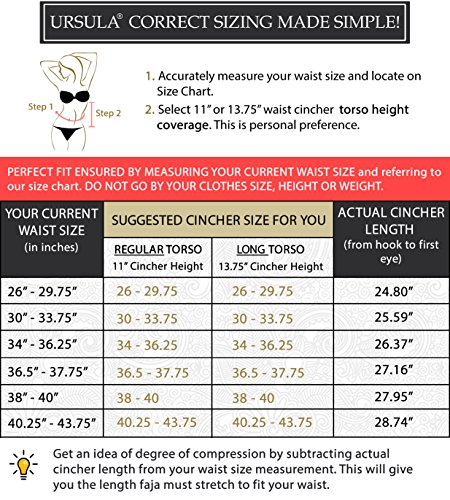 ursula waist trainer