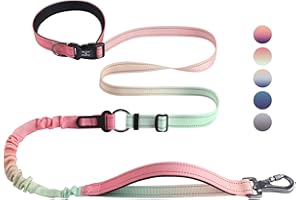 Roses&Poetry Hands Free Dog Leash for Medium Large Dogs Heavy Duty, No Pull Bungee Dog Running Waist Leash for Walking Training with Car Seatbelt 4-6FT