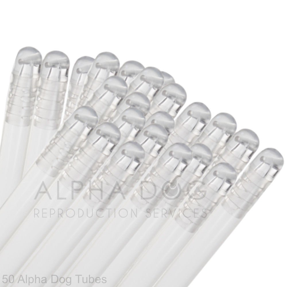 Other Dog Supplies Pet Supplies Artificial Insemination Canine Breeding