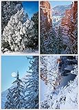 Winter Landscapes Holiday Card Assortment