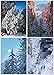 Winter Landscapes Holiday Card Assortment