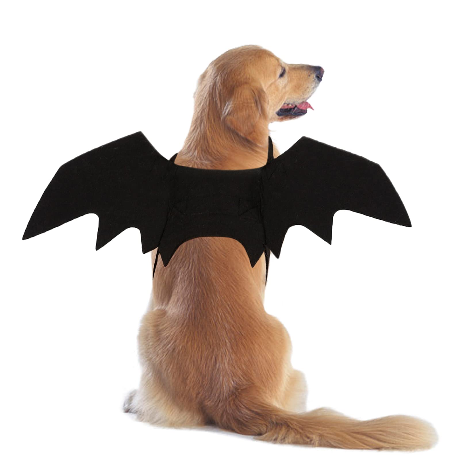 RANYPET Dog Bat Wings,Halloween Dog Bat Costume Dogs Halloween Costumes for Medium to Large Dogs Cat Costume for Party Cosplay Photography M