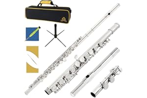 Yasisid Closed Hole C Flute 16 Keys Instrument for Student Beginners with Cleaning Kit, Stand, Carrying Case, Gloves and Tuning Rod