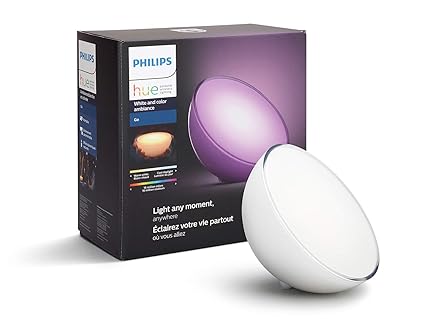 philips hue go google home