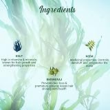 Biotique Kelp Protein Shampoo 190ml Hair Growth Treatment Natural Proteins view 7